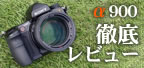 ��900�O�ꃌ�r���[