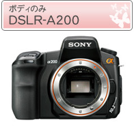 DSLR-A100K�@��700�@�Y�[�������Y�L�b�g