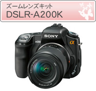 DSLR-A100H�@��700�@DT 16-105 �����Y�L�b�g