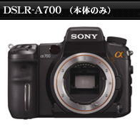 DSLR-A100K�@��700�@�Y�[�������Y�L�b�g
