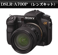 DSLR-A100H�@��700�@DT 16-105 �����Y�L�b�g