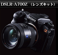 DSLR-A100W�@��700�@�J�[���c�@�C�X�����Y�L�b�g