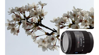 Vario-Sonnar T*  DT16-80mm F3.5-4.5 ZA