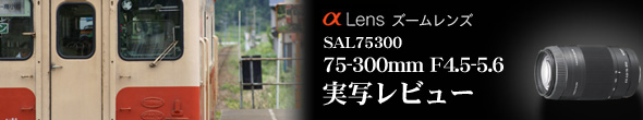 75-300mm F4.5-5.6 SAL75300�̎��ʃ��r���[