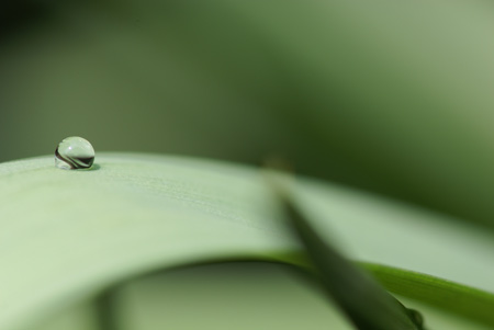�� �}�N�������Y 100mm F2.8 Macro�@SAL100M28 ����