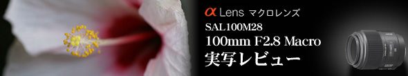 �f�W�^����჌�t�J�����u�� �A���t�@�v�@�\�@100mm F2.8 Macro�̎��ʃ��r���[