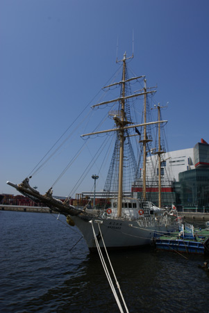 α ワイドズームレンズ DT 11-18mm F4.5-5.6 SAL1118 実写