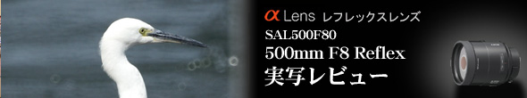 デジタル一眼レフカメラ「α アルファ」 ― レフレックスレンズ(500mm F8 Reflex)