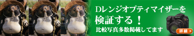 Dレンジオプティマイザーを検証する
