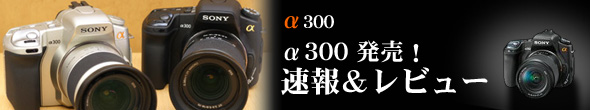 速報!α300レビュー ライブビューは便利ですヨ!