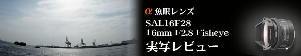 16mm F2.8 Fisheye 実写レビュー