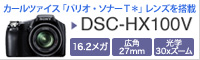 HX100Vレビュー