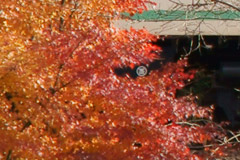 005_003.jpg