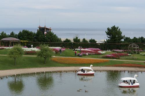 a900_sal85f14z_003.jpg