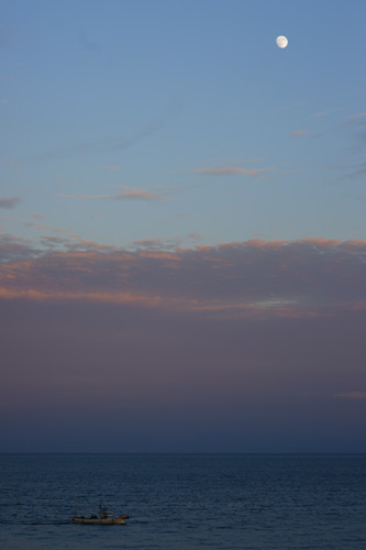 a900_sal85f14z_007.jpg