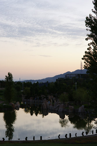 a900_sal85f14z_009.jpg
