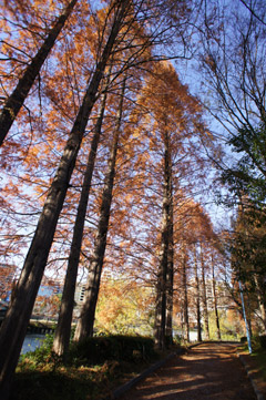 w001.jpg