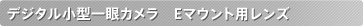 Eマウントレンズ