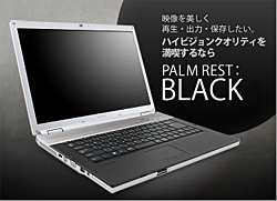 type F VGN-FZ92NS,VGN-FZ92S,VGN-FZ92HS パームレストブラック