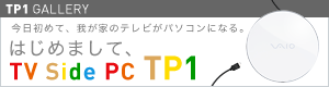 TP1 VGX-TP1QS�@�͂��߂܂���TP1