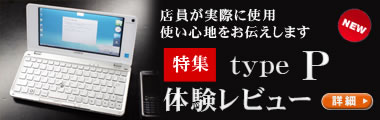 type P �̌����r���[