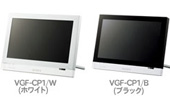 VGF-CP1 