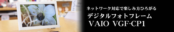 VGF-CP1 